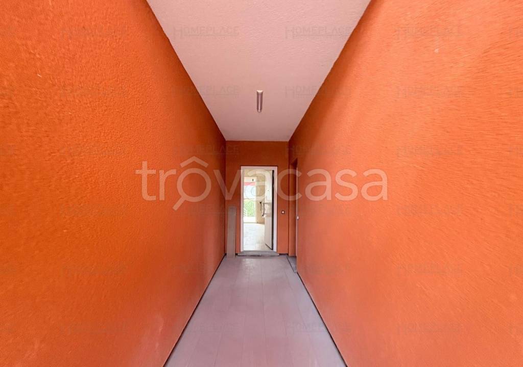 immagine annuncio 2 di 12