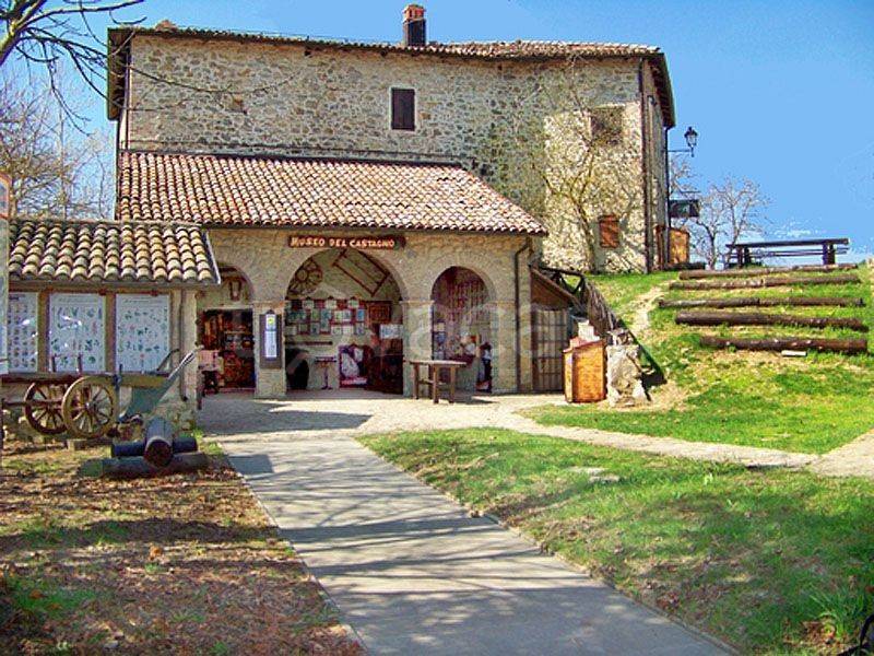 immagine annuncio 4 di 7