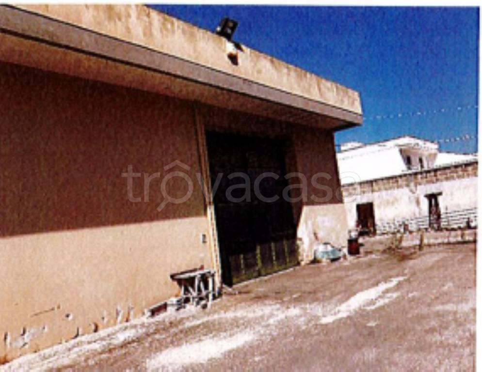 immagine annuncio 10 di 11