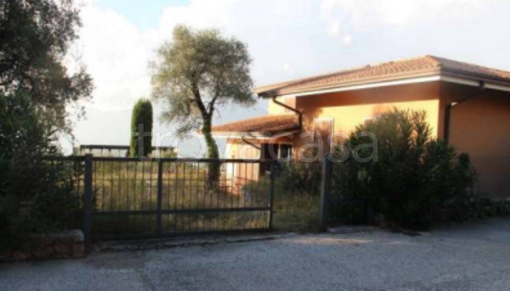 immagine annuncio 5 di 11