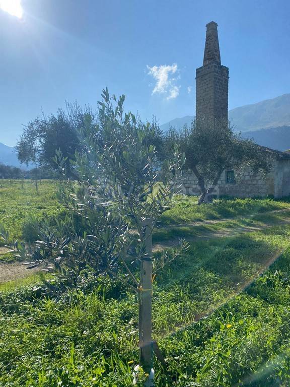 immagine annuncio 10 di 11