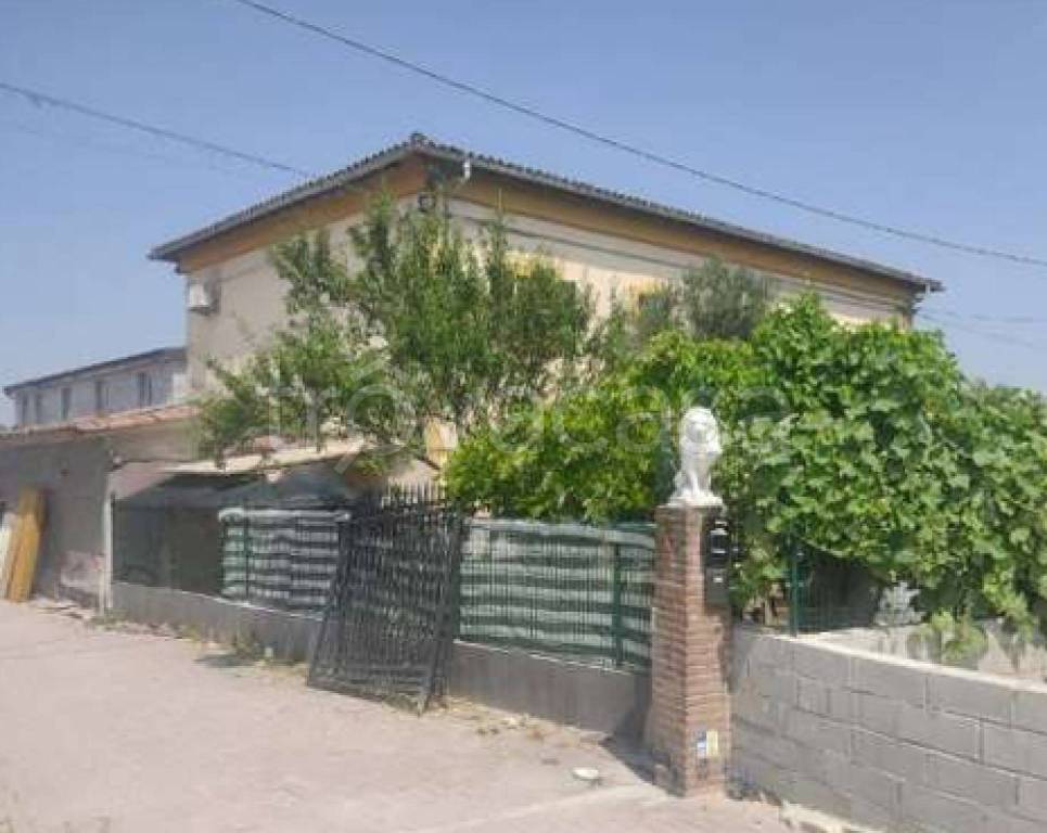 immagine annuncio 6 di 11