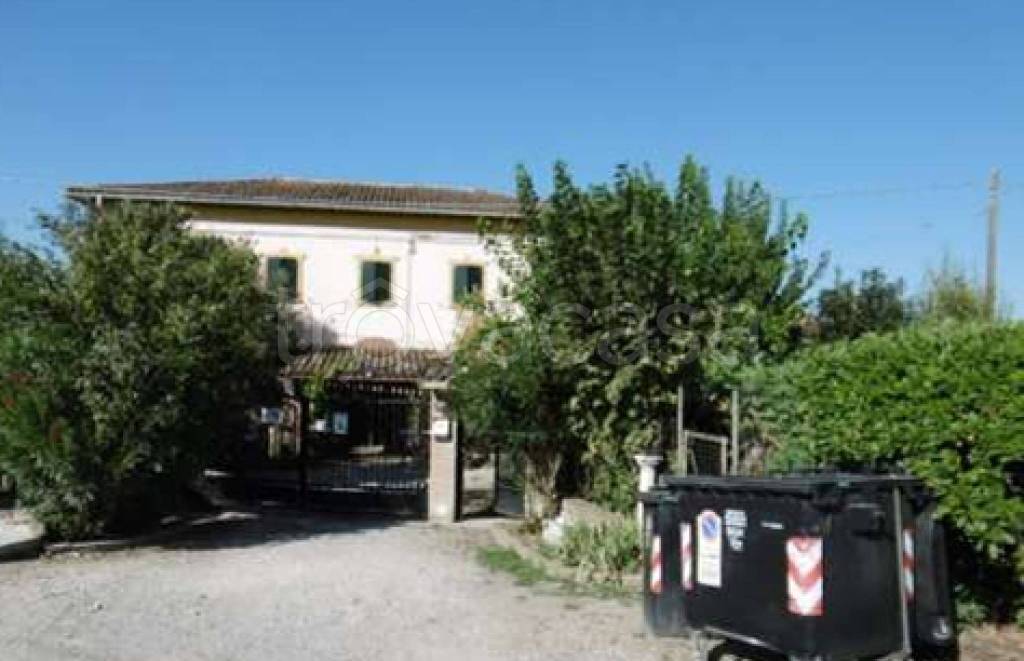 immagine annuncio 7 di 11