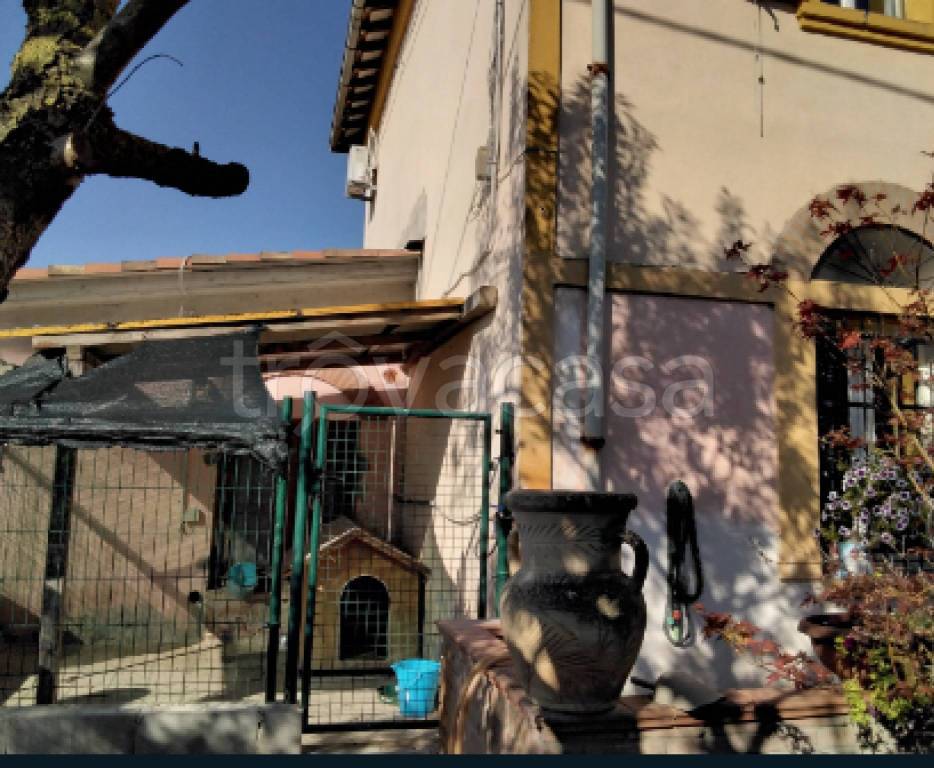 immagine annuncio 10 di 11