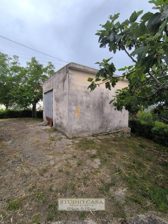 immagine annuncio 8 di 11