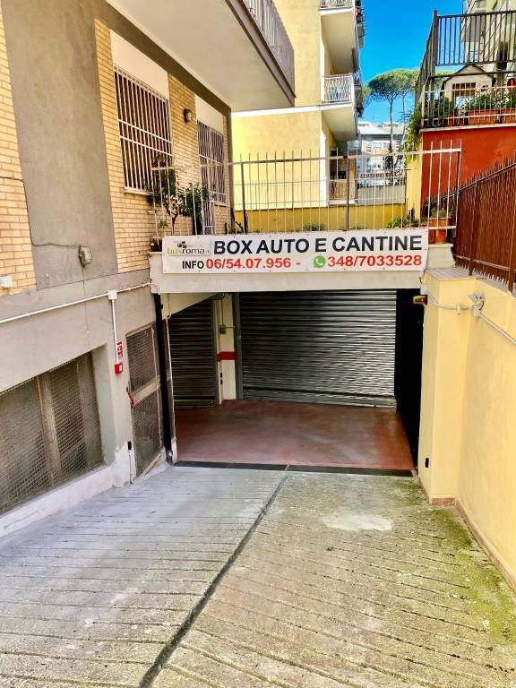 immagine annuncio 9 di 11