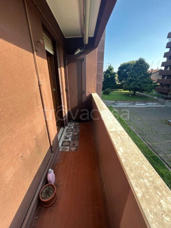 immagine annuncio 7 di 11