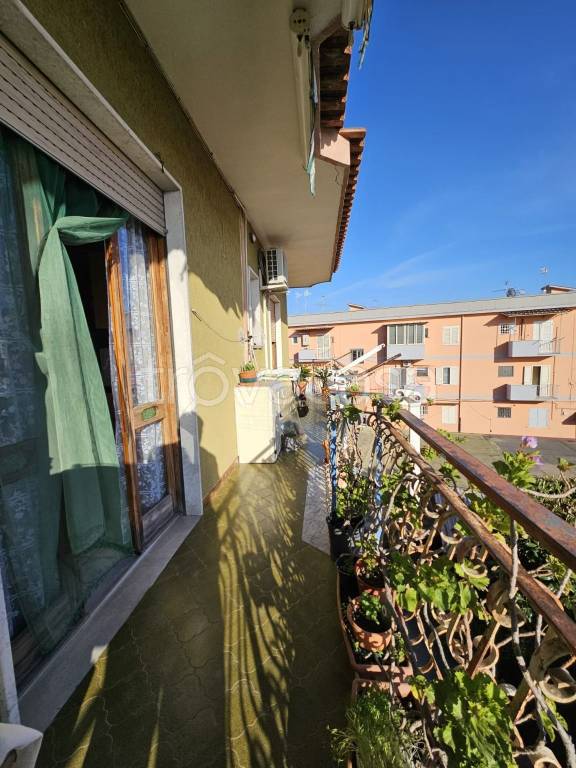 immagine annuncio 1 di 12