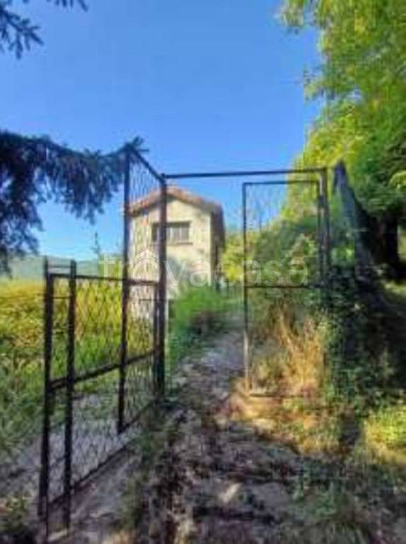 immagine annuncio 4 di 12