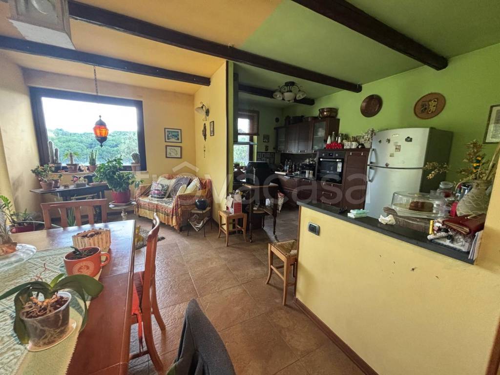 immagine annuncio 2 di 14