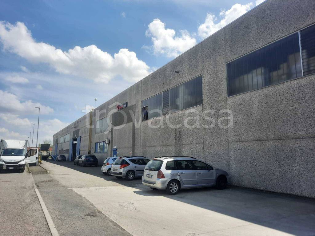 immagine annuncio 10 di 13