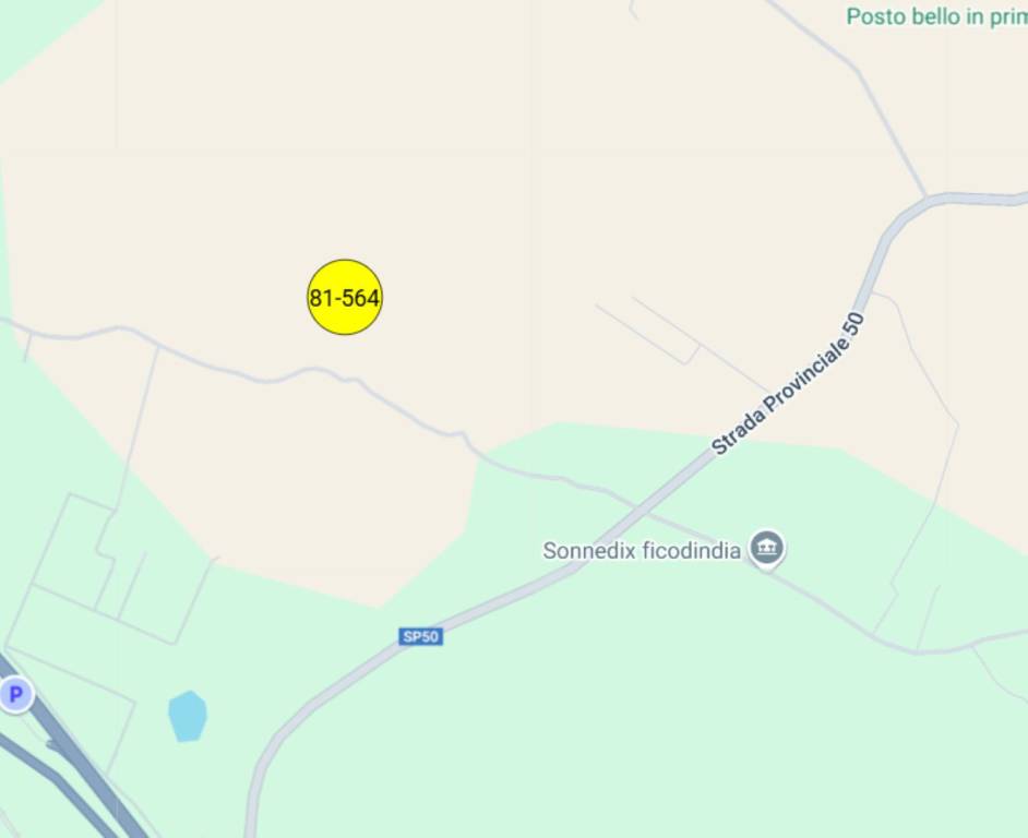 immagine annuncio 10 di 11