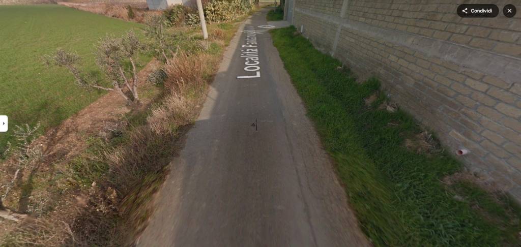 immagine annuncio 3 di 8