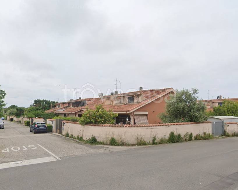 immagine annuncio 3 di 14