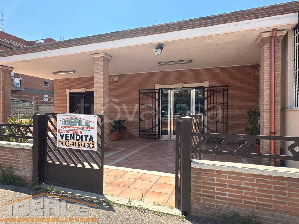 immagine annuncio 1 di 11