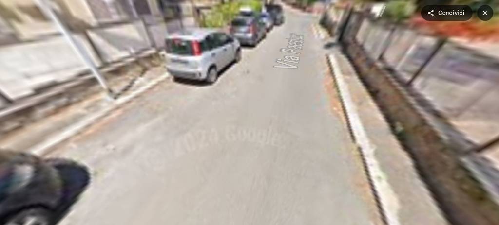 immagine annuncio 12 di 14