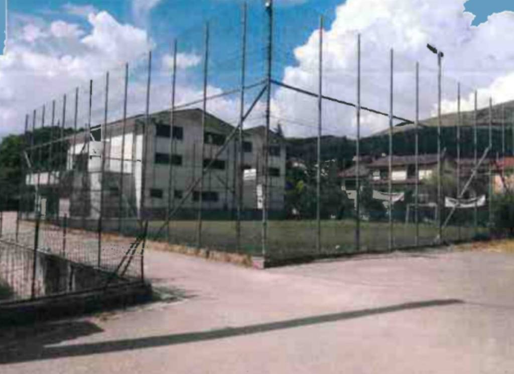immagine annuncio 7 di 11