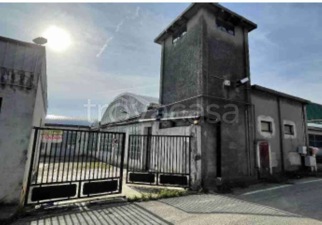 immagine annuncio 5 di 12