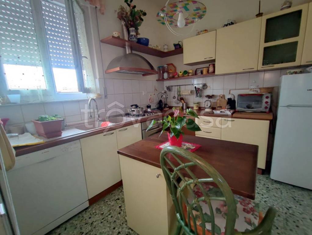 immagine annuncio 4 di 12