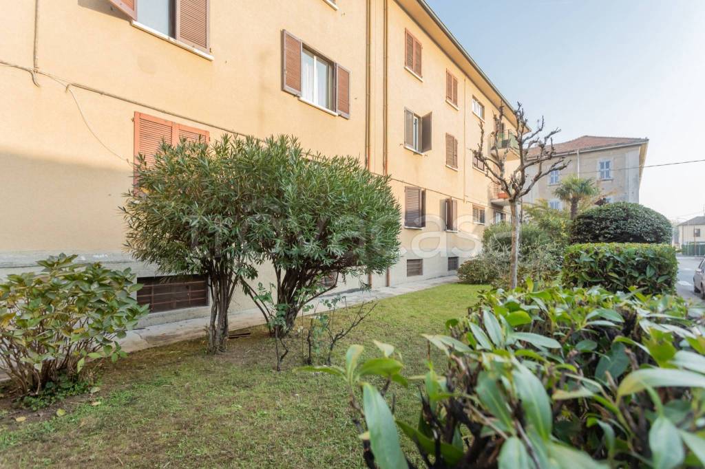 immagine annuncio 6 di 7