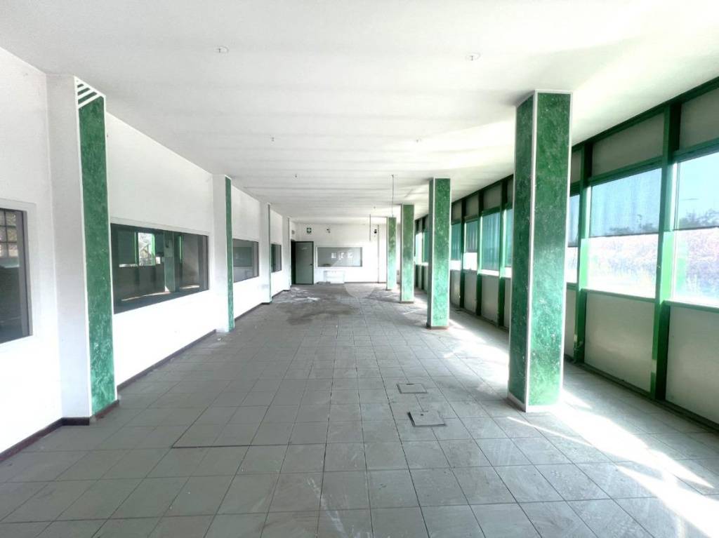 immagine annuncio 6 di 14