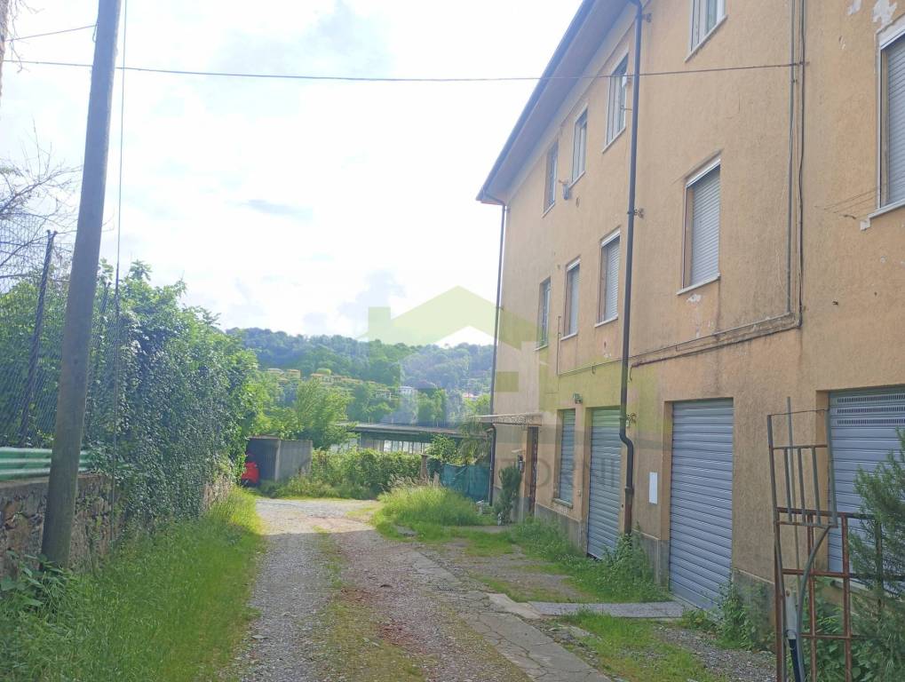 immagine annuncio 4 di 14