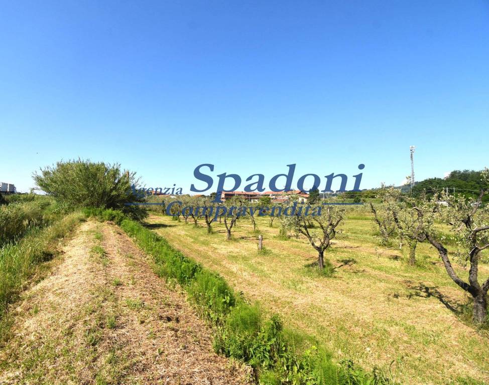 immagine annuncio 1 di 7
