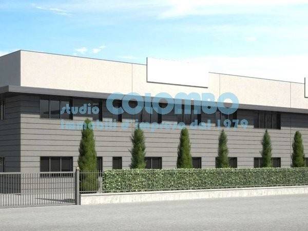 immagine annuncio 8 di 11