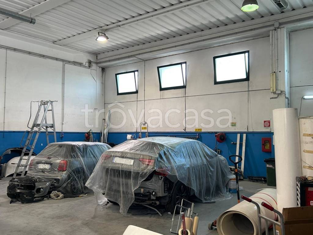 immagine annuncio 11 di 15