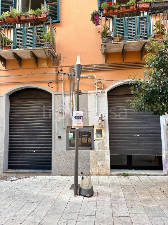 immagine annuncio 4 di 14