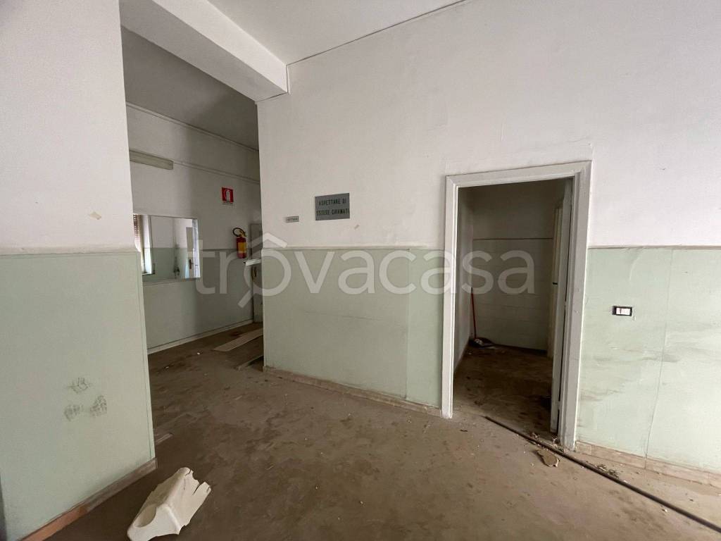 immagine annuncio 3 di 9