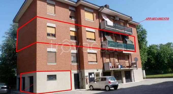 immagine annuncio 1 di 15