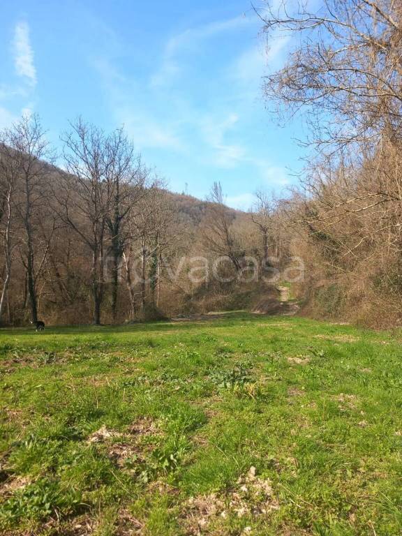 immagine annuncio 5 di 8