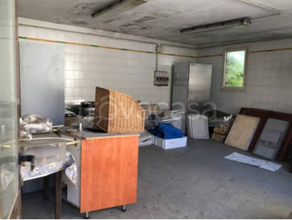 immagine annuncio 8 di 11