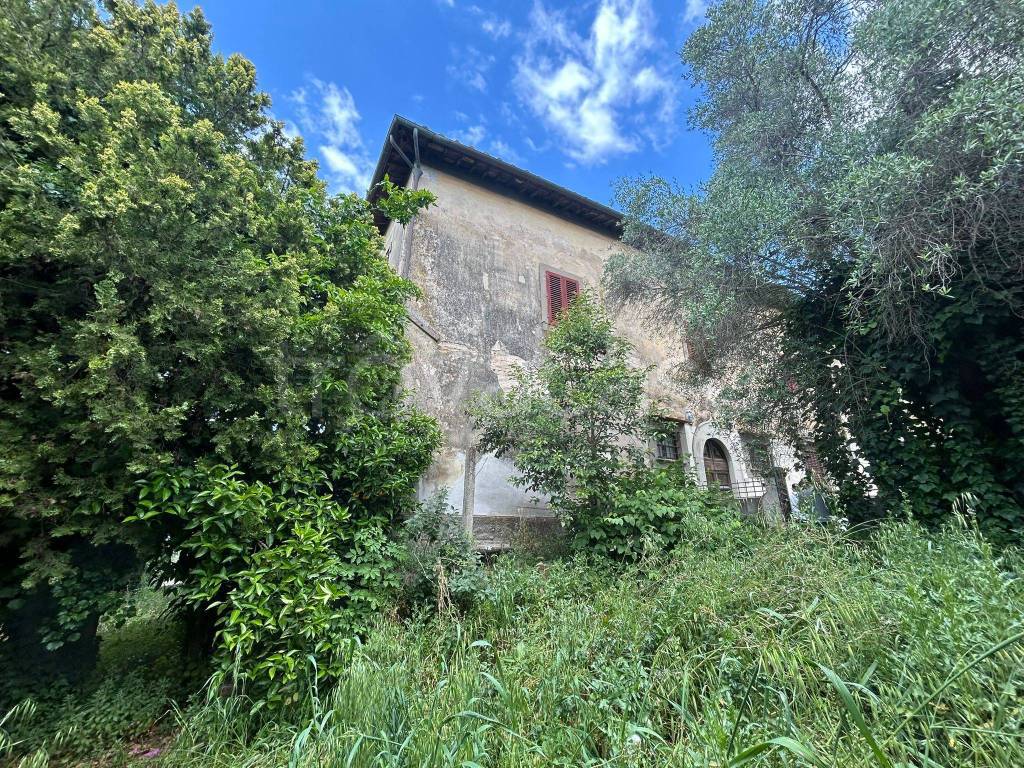 immagine annuncio 5 di 12