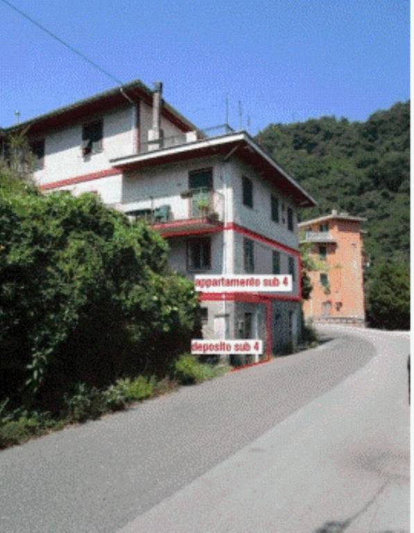 immagine annuncio 2 di 14