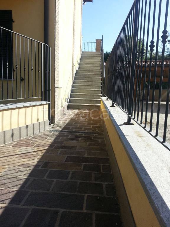 immagine annuncio 1 di 14
