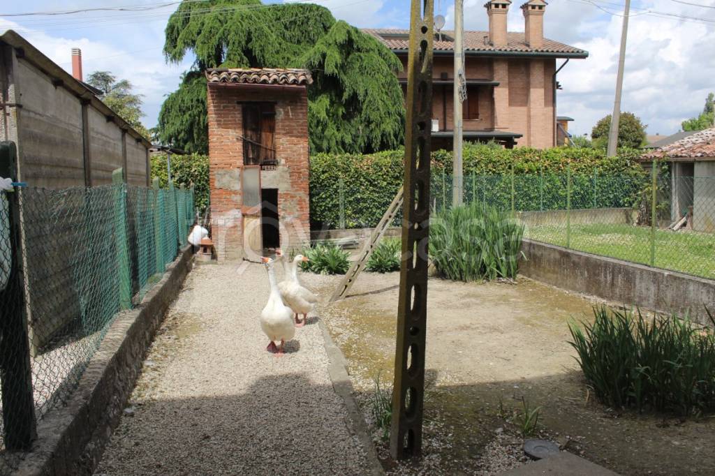 immagine annuncio 10 di 12