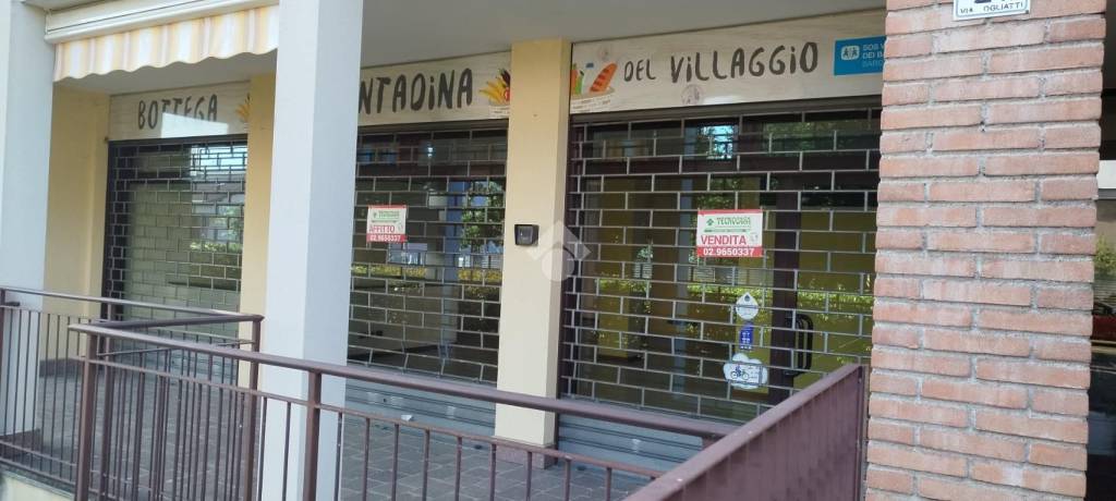 immagine annuncio 1 di 11