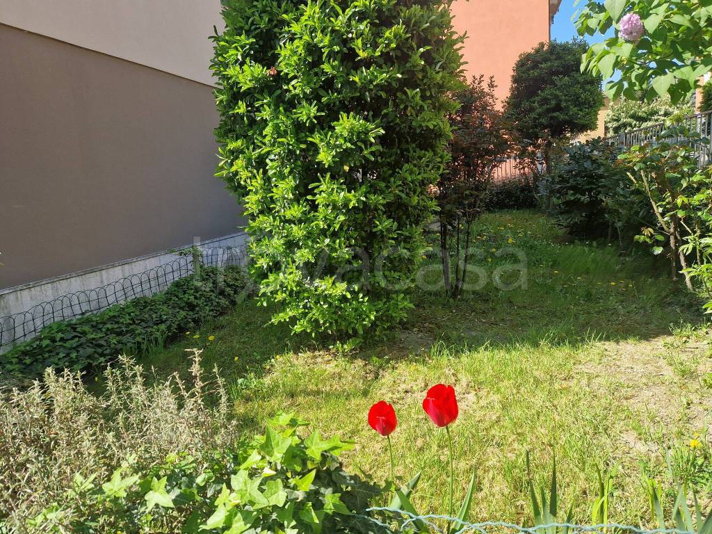 immagine annuncio 1 di 7