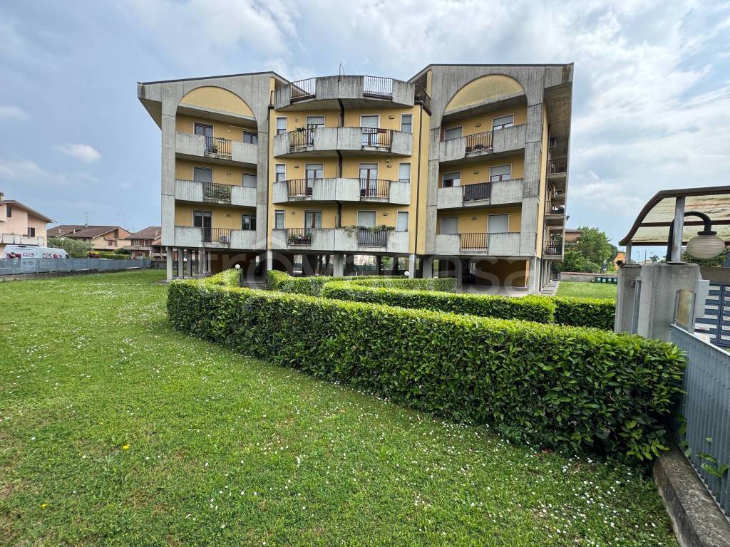 immagine annuncio 1 di 12