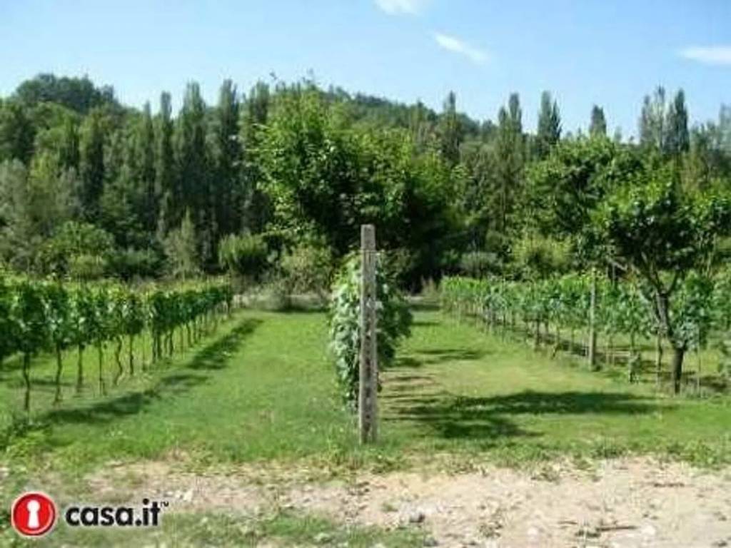 immagine annuncio 4 di 11