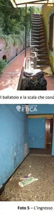 immagine annuncio 4 di 8