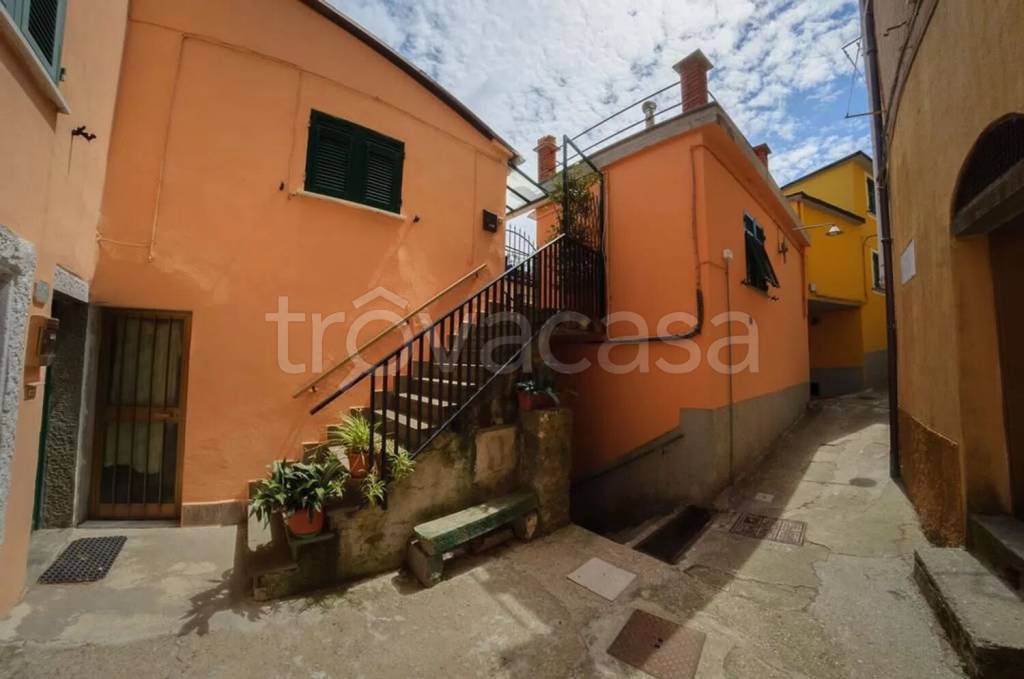immagine annuncio 5 di 13