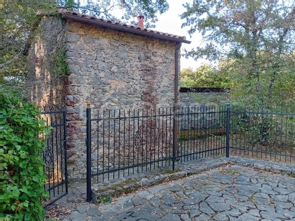 immagine annuncio 12 di 14