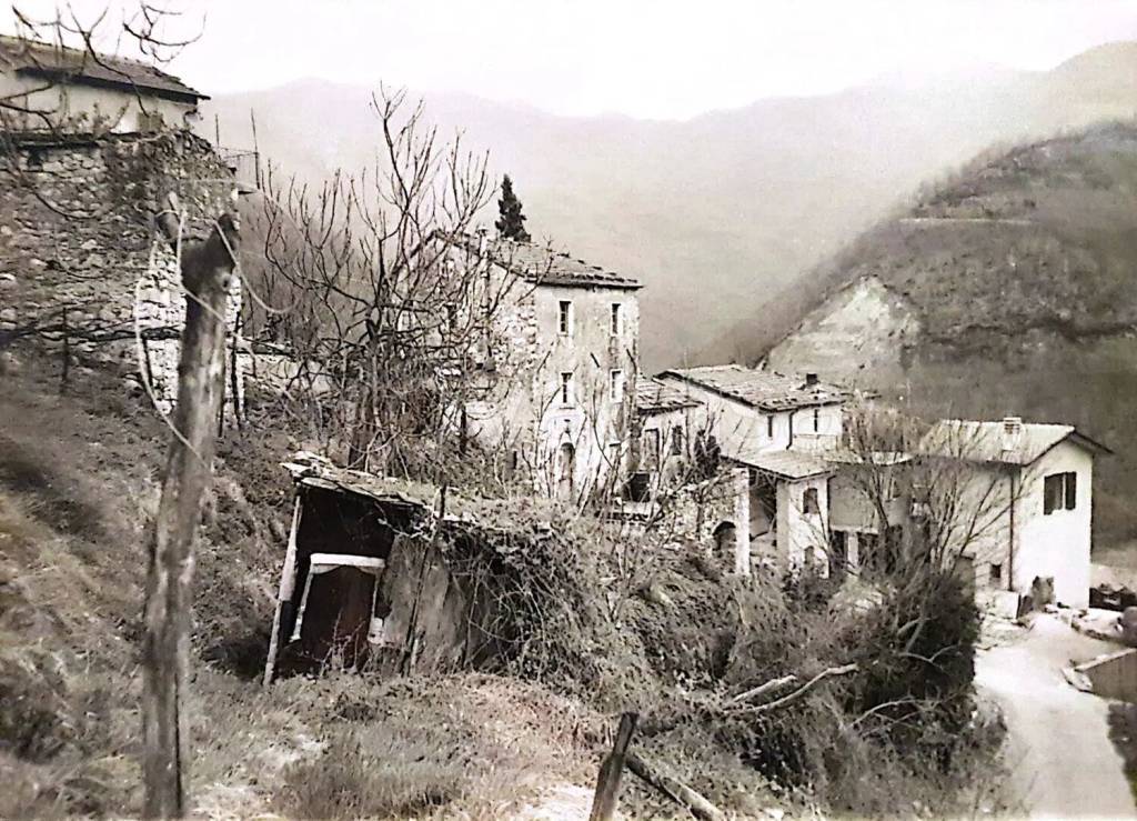 immagine annuncio 5 di 9