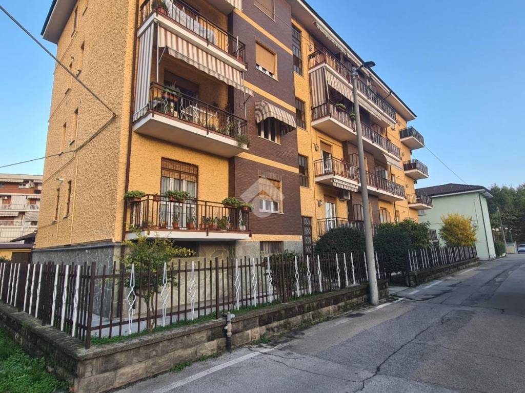 immagine annuncio 1 di 14