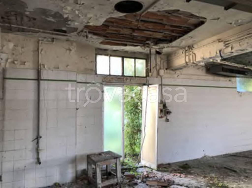 immagine annuncio 8 di 12