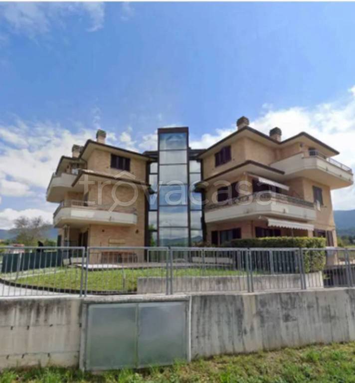 immagine annuncio 2 di 12