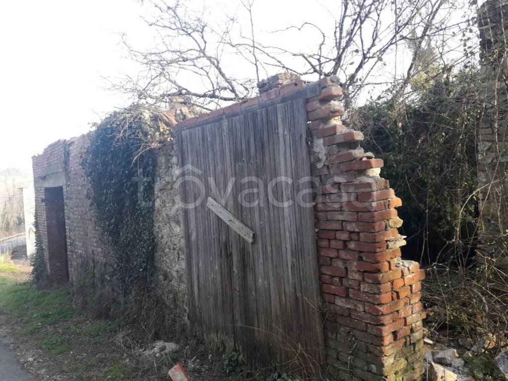 immagine annuncio 5 di 7
